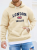 S742a966d6f04496591992553bc355f24D.png