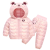 Sf644dc77f293421aab62e53c01151b6cl.png